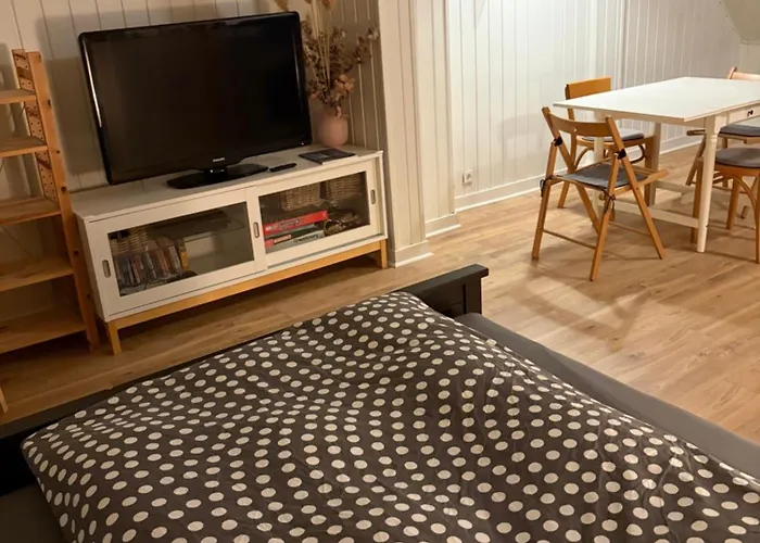 Apartmán Gemuetliches Privates Oberhausen (North Rhine-Westphalia)